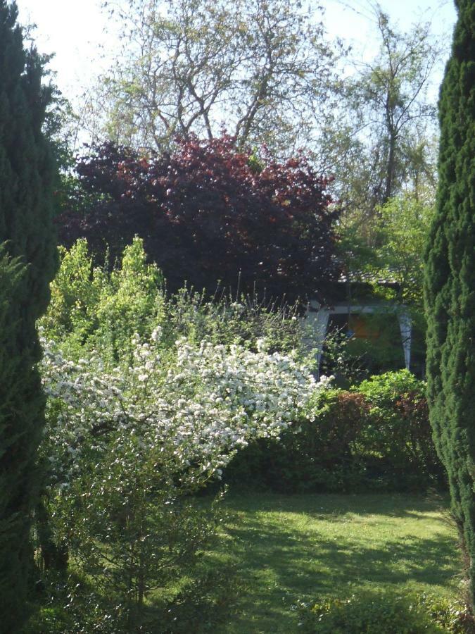Готель La Rose Tremiere Wintzenheim-Kochersberg Екстер'єр фото